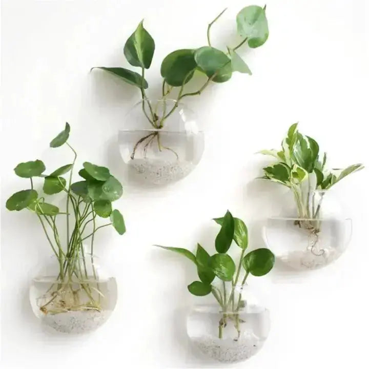 Elegant glassveggvase – minimalistisk planteholder