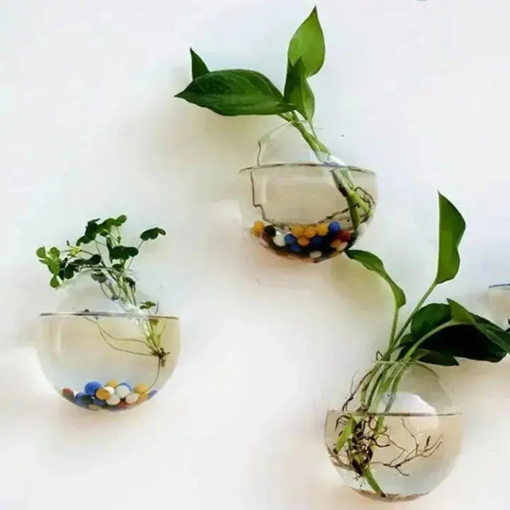 Elegant glassveggvase – minimalistisk planteholder