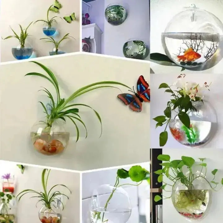 Elegant glassveggvase – minimalistisk planteholder