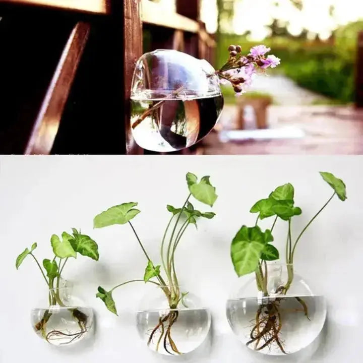Elegant glassveggvase – minimalistisk planteholder