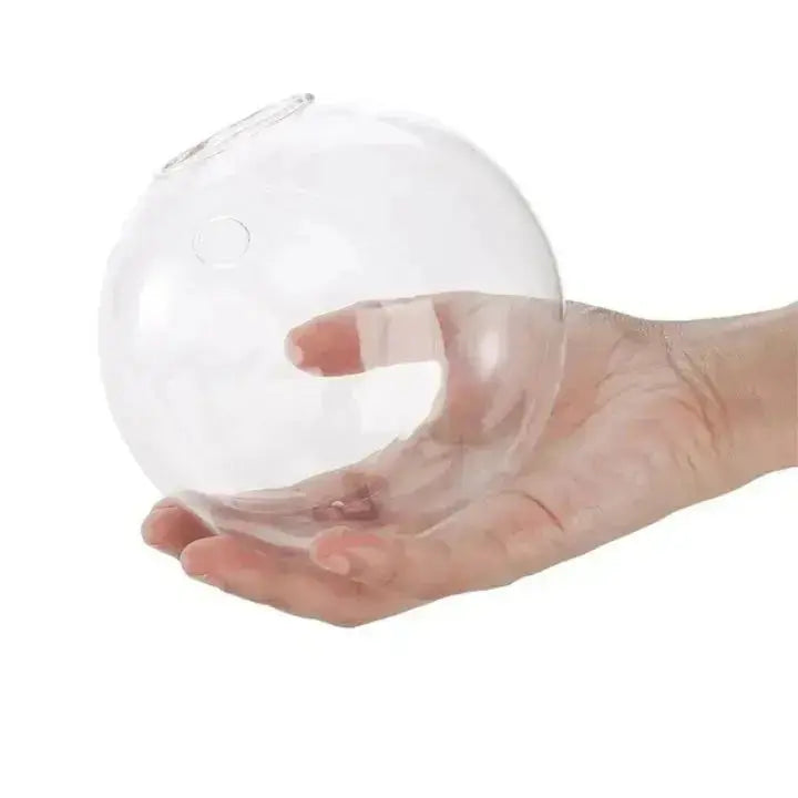 Elegant glassveggvase – minimalistisk planteholder