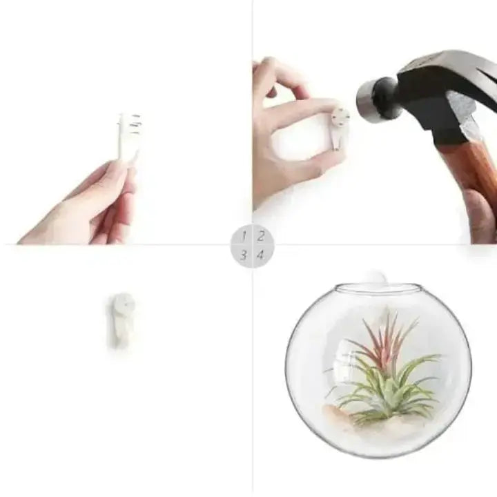 Elegant glassveggvase – minimalistisk planteholder
