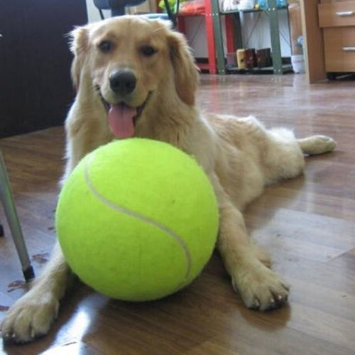 Skanto | Stor tennisball for hunden din – XXL – 24 cm diameter