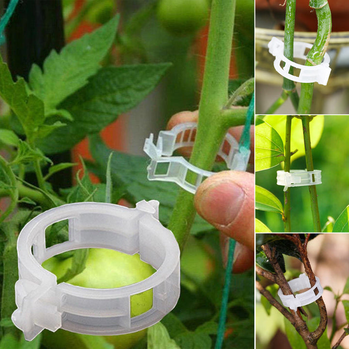 Skanto | Plante støtteklips