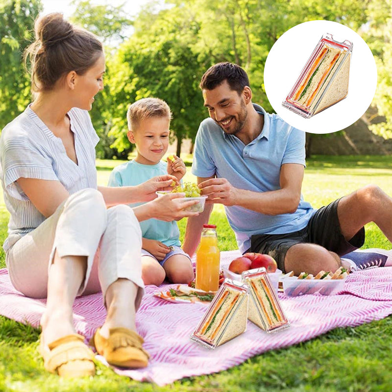 Skanto | Triangle Sandwich Container