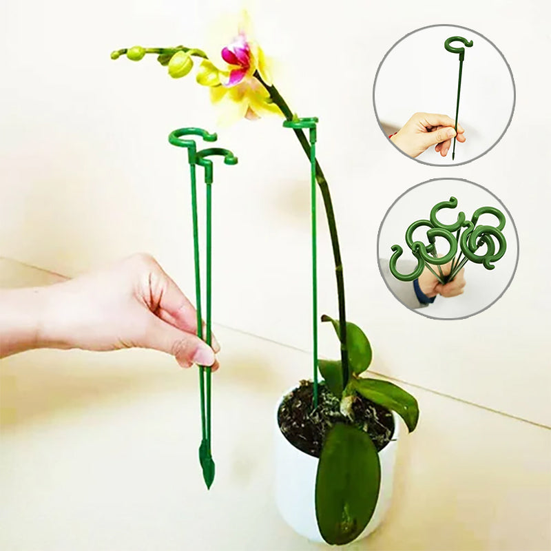 Skanto | Plante støtte