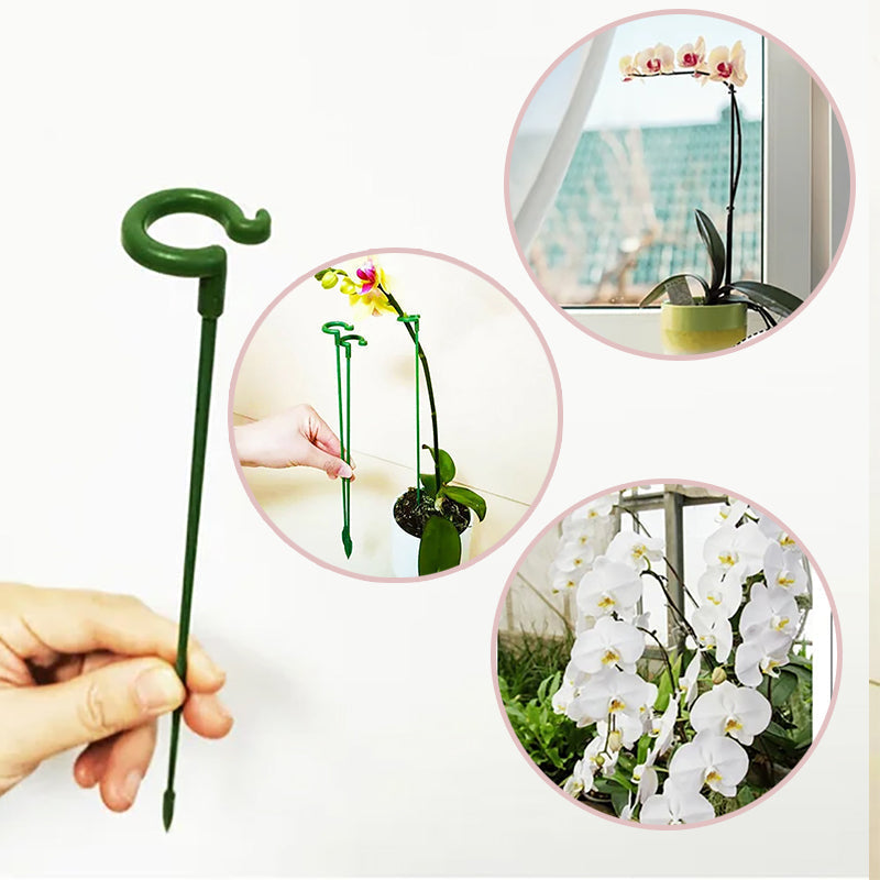 Skanto | Plante støtte