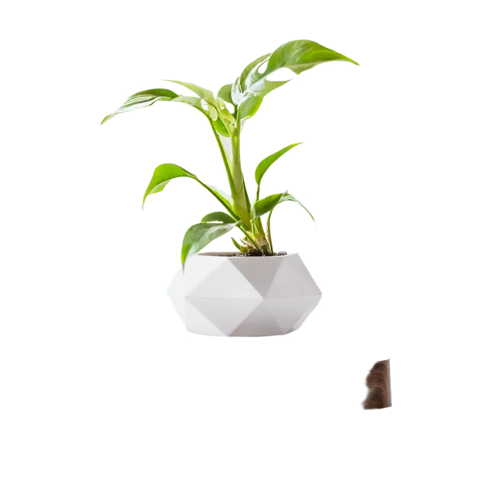 GeoSpin roterende geometriske planteboks Skanto