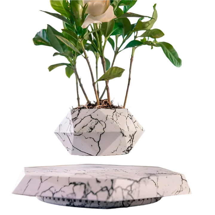 GeoSpin roterende geometriske planteboks Skanto