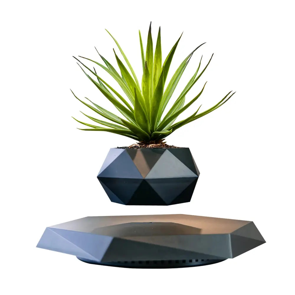 GeoSpin roterende geometriske planteboks Skanto