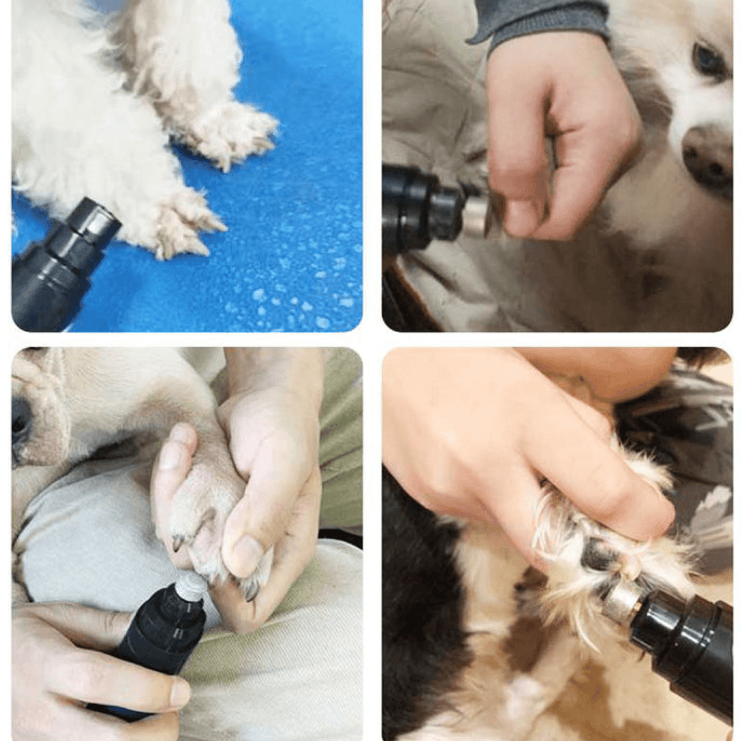 Skanto | Elektrisk Hund Klør Negle Trimmer Slipemaskin for Hunder og Katter