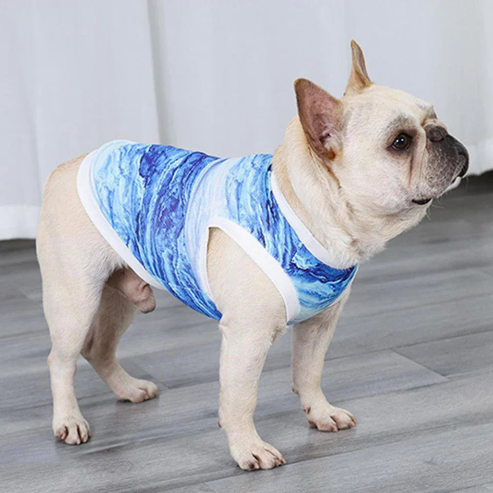 FrostyPet Fransk Bulldog Sommer Kjølevest | Skanto