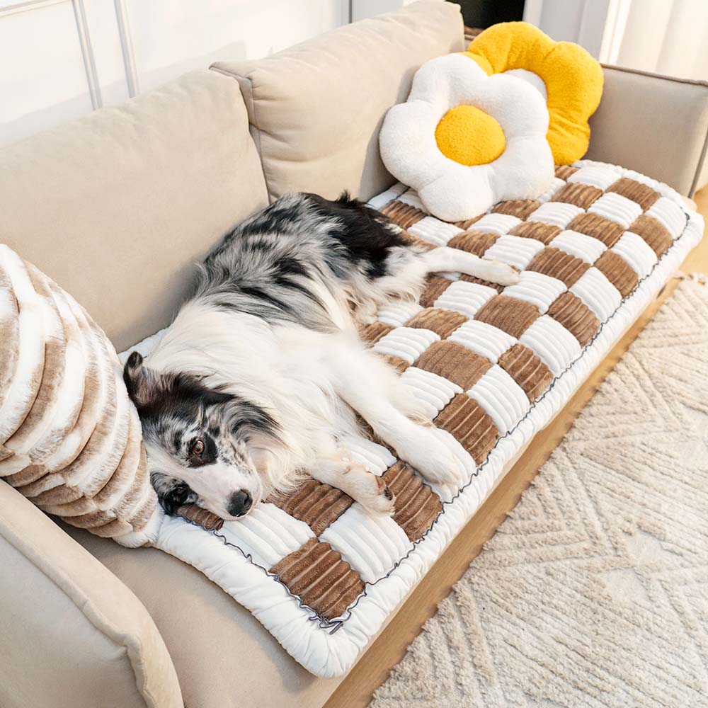 CozyCover – Elegant Teppe for Katt og Menneske Skanto