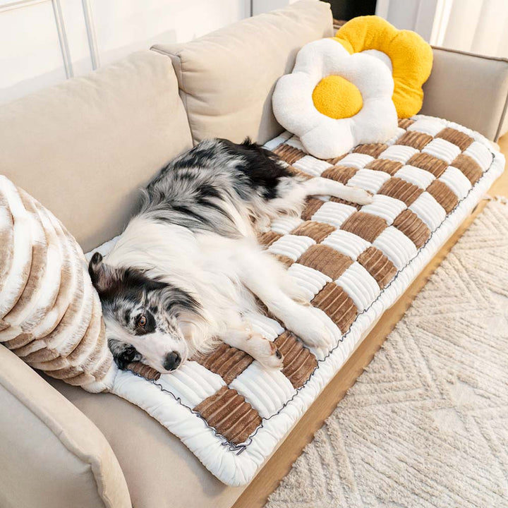 CozyCover – Elegant Teppe for Katt og Menneske Skanto