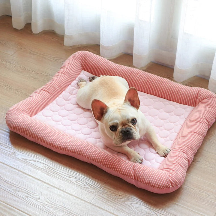 FurChill Frenchie Pustende Hundeseng – Kjølematte med Antiskli Bunn for Varme Dager | Skanto