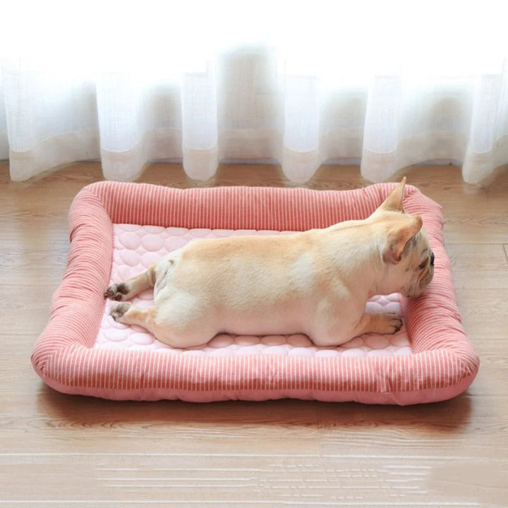 FurChill Frenchie Pustende Hundeseng – Kjølematte med Antiskli Bunn for Varme Dager | Skanto