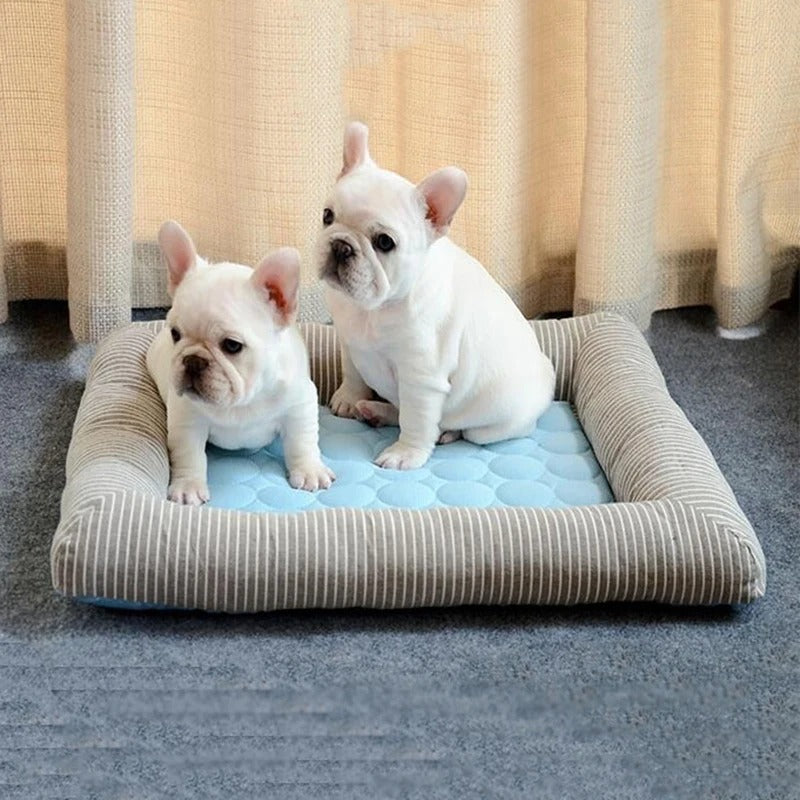 FurChill Frenchie Pustende Hundeseng – Kjølematte med Antiskli Bunn for Varme Dager | Skanto