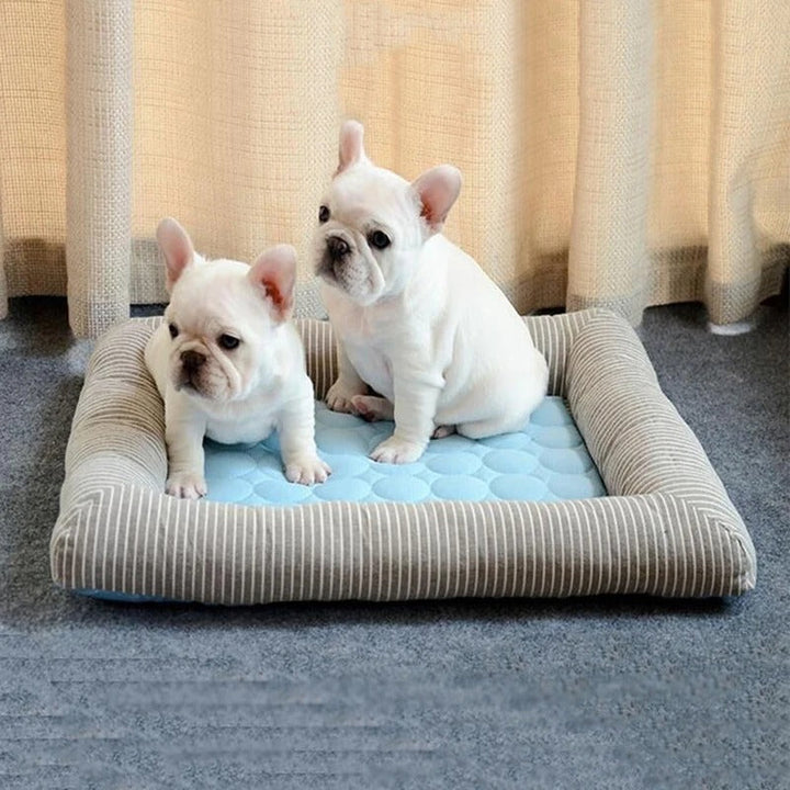 FurChill Frenchie Pustende Hundeseng – Kjølematte med Antiskli Bunn for Varme Dager | Skanto
