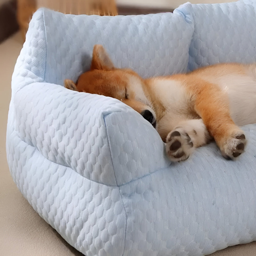 Skanto | Vaskbar Plysjpute seng for kjæledyr - CozyPaws