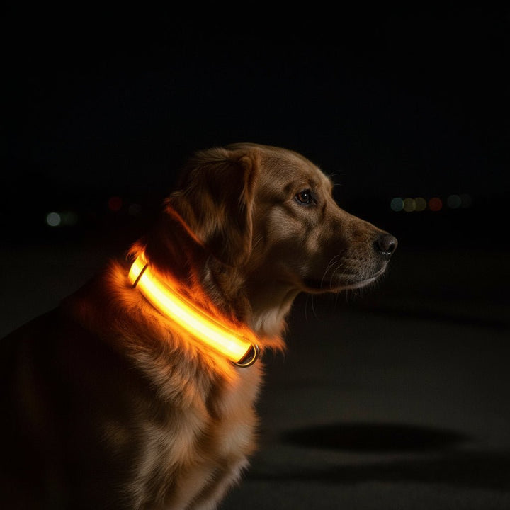 LED-Sicherheitshalsband for Hunde med verstellbarer Passform