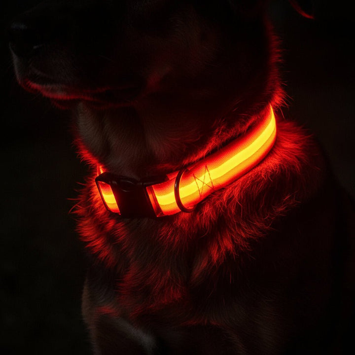 LED-Sicherheitshalsband for Hunde med verstellbarer Passform