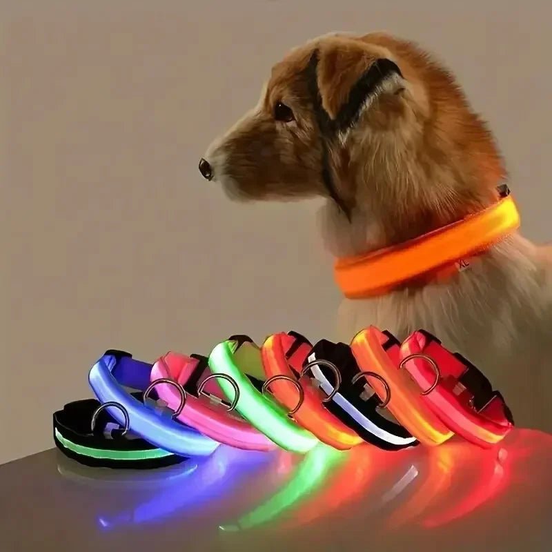 Skanto | LED sikkerhets hundehalsbånd med justerbar passform