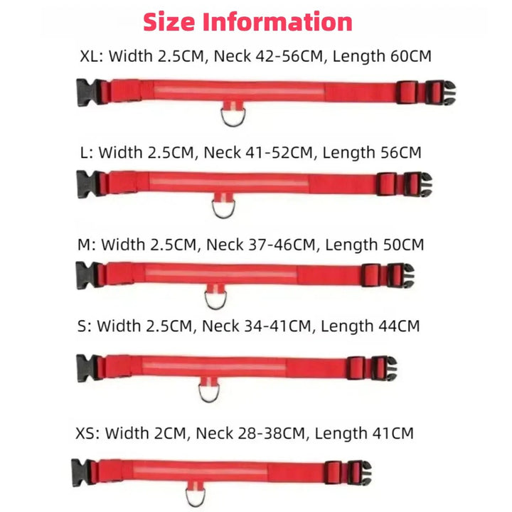 LED-Sicherheitshalsband for Hunde med verstellbarer Passform