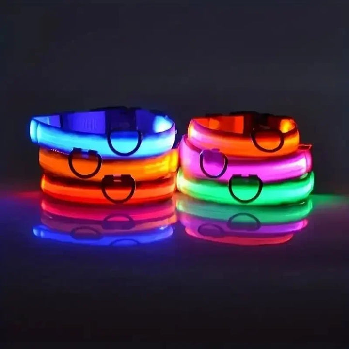LED-Sicherheitshalsband for Hunde med verstellbarer Passform