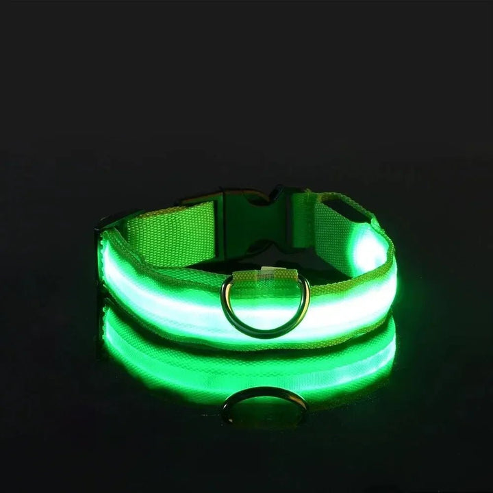 LED-Sicherheitshalsband for Hunde med verstellbarer Passform