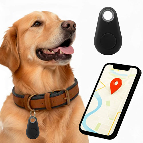 Skanto | GPS Hundesporing | Vanntett, Sanntid Plassering & Sikkerhetssone Varsler for Utendørs Eventyr