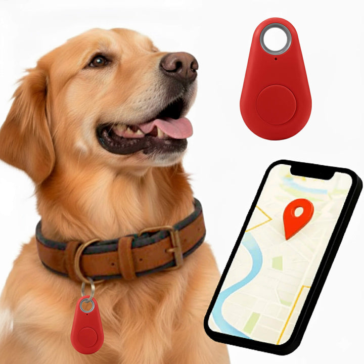 Skanto | GPS Hundesporing | Vanntett, Sanntid Plassering & Sikkerhetssone Varsler for Utendørs Eventyr
