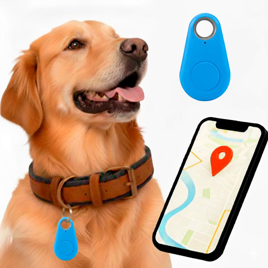 Skanto | GPS Hundesporing | Vanntett, Sanntid Plassering & Sikkerhetssone Varsler for Utendørs Eventyr