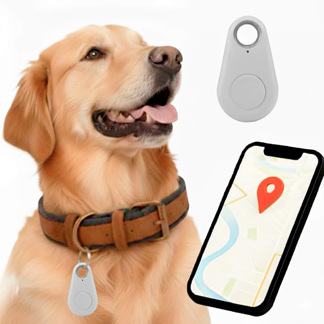 Skanto | GPS Hundesporing | Vanntett, Sanntid Plassering & Sikkerhetssone Varsler for Utendørs Eventyr