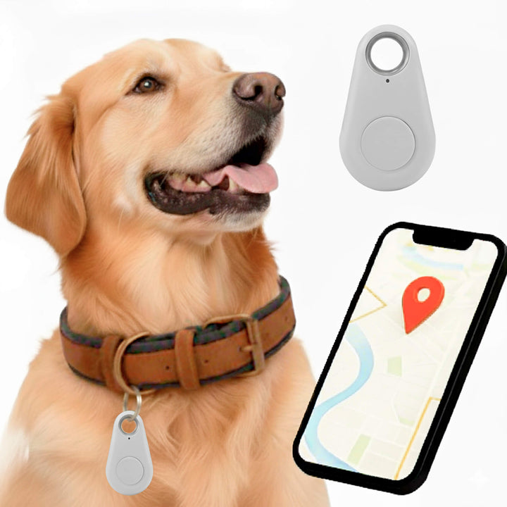Skanto | GPS Hundesporing | Vanntett, Sanntid Plassering & Sikkerhetssone Varsler for Utendørs Eventyr