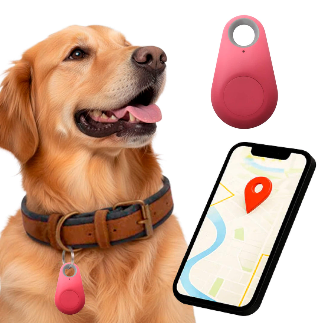 Skanto | GPS Hundesporing | Vanntett, Sanntid Plassering & Sikkerhetssone Varsler for Utendørs Eventyr
