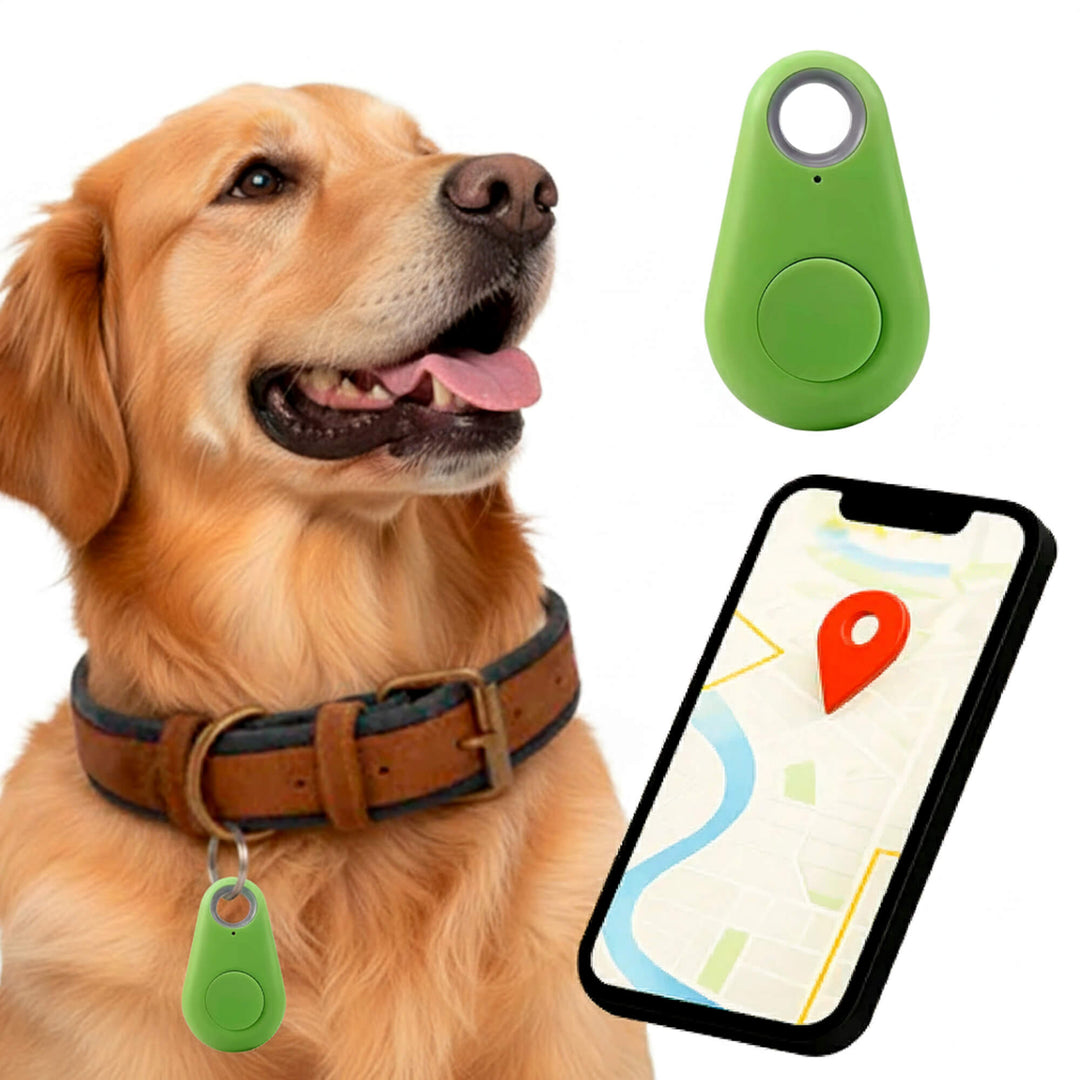 Skanto | GPS Hundesporing | Vanntett, Sanntid Plassering & Sikkerhetssone Varsler for Utendørs Eventyr