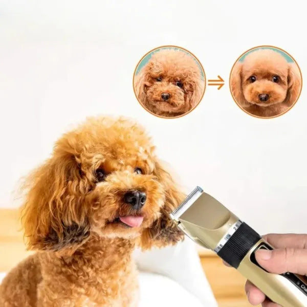 Silent Coat Trimmer Set for Dogs Skanto