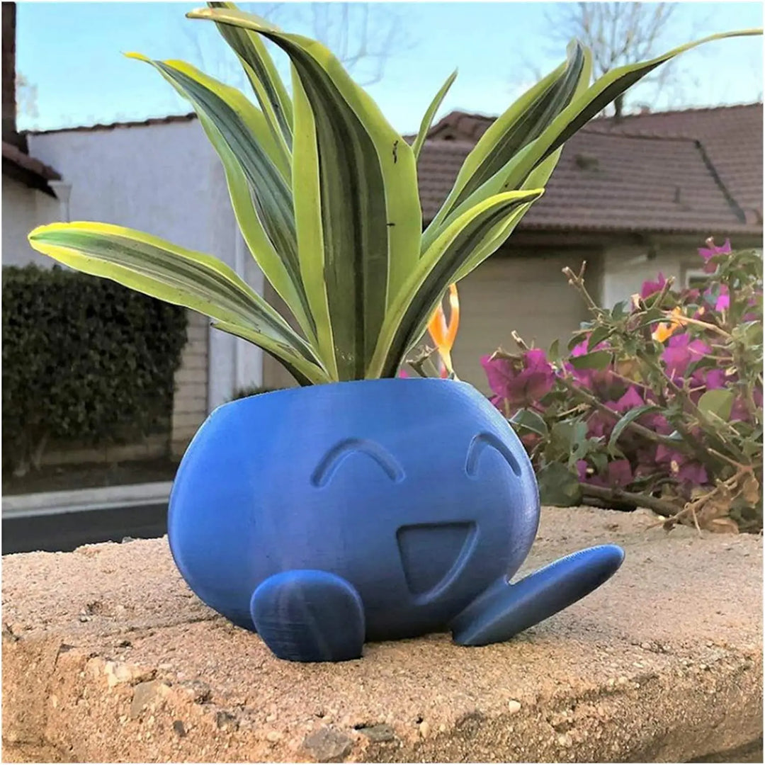 Skanto | Unik Saftig Plantekasse - QuirkyPot