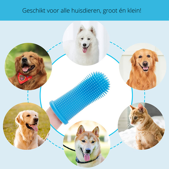 Sikker hunde tannpleie for hjemmet Skanto