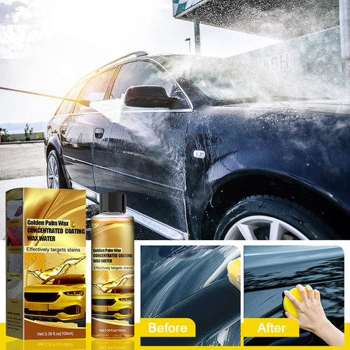 Skanto | Gylden Carnauba Bilvoks
