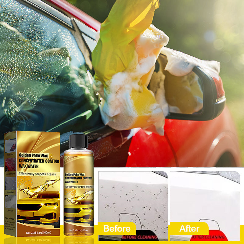 Skanto | Gylden Carnauba Bilvoks