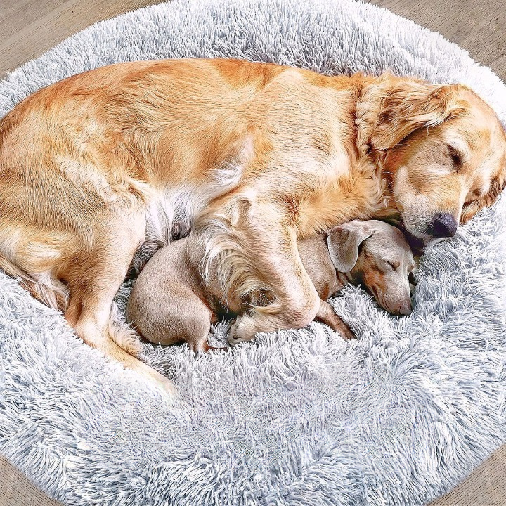 Skanto | FluffyNest Komfort Hundeseng – Ortopedisk Plysj Sovepute for Hunder