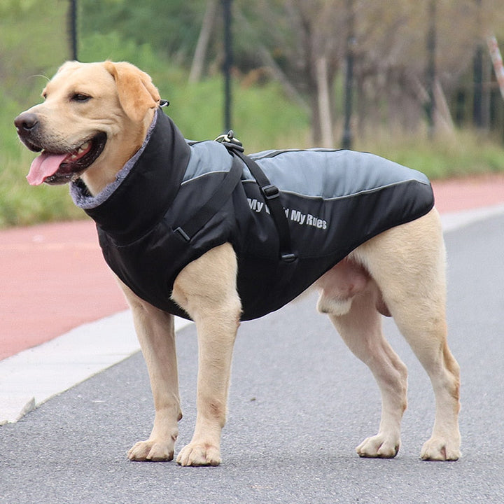 Skanto | Vanntette vinter hundejakker