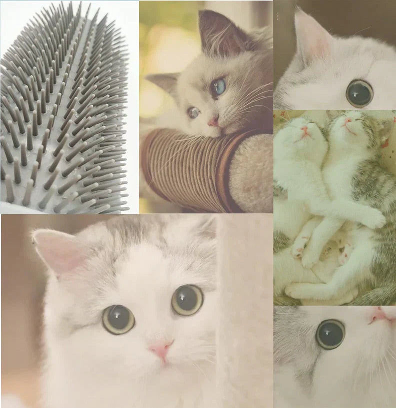 Selvpleie Katt Hjørnebørste – FurRelaxer Skanto