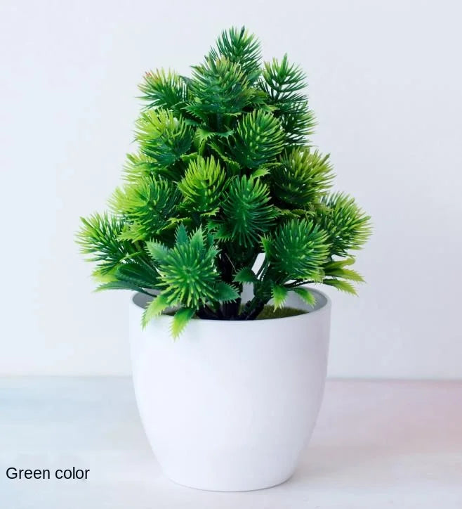 Skanto | Liten Tre Potte Bonsai Planter
