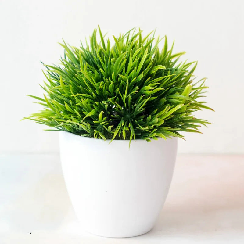Skanto | Liten Tre Potte Bonsai Planter