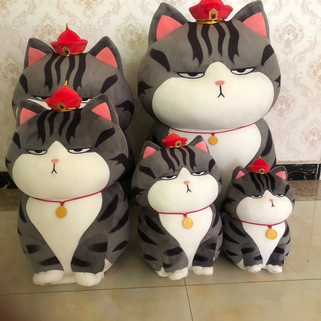Moody Cat Myk Kose Plusspute | Skanto