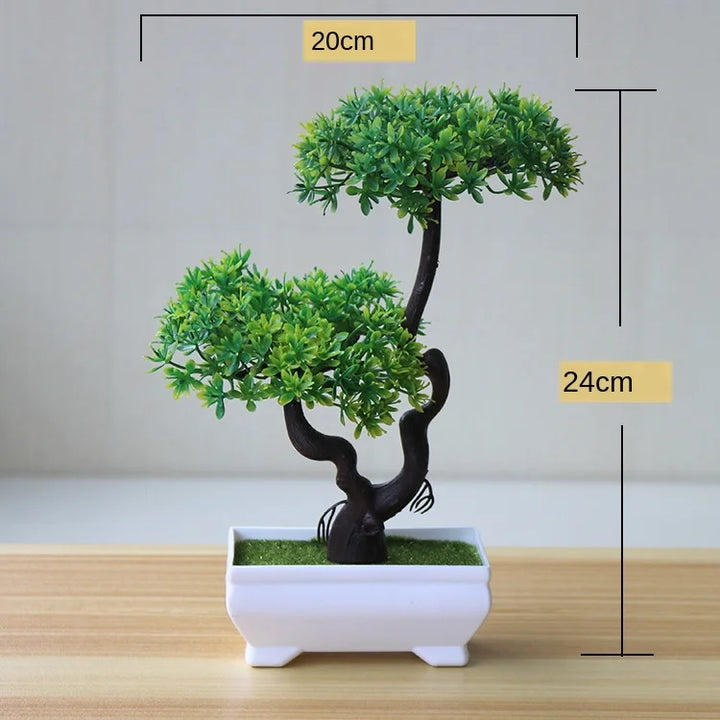 Skanto | Liten Tre Potte Bonsai Planter