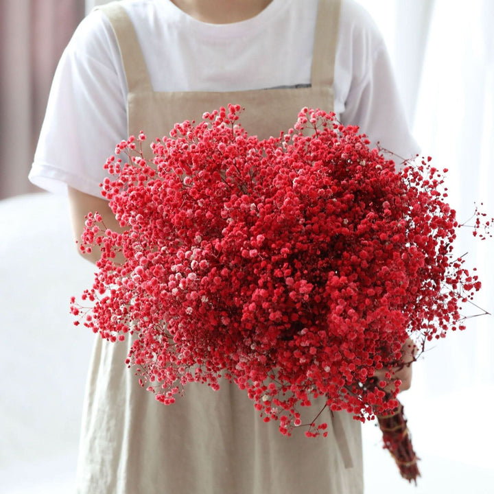 Getrockneter, konservierter Schleierkraut-Blumenstrauß – Natürliche Dekoration