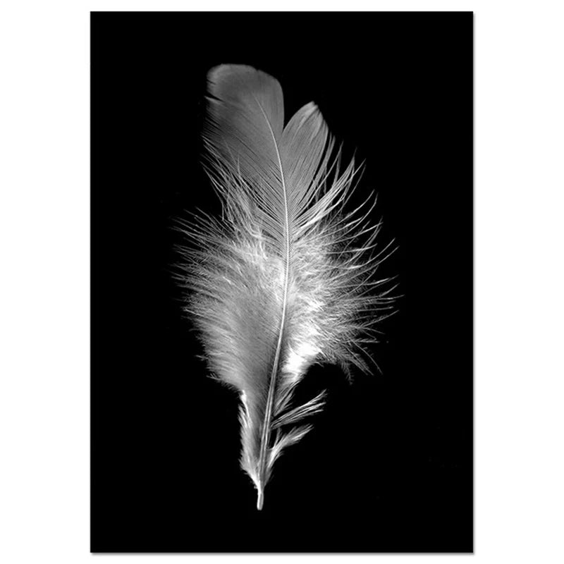 Pink Angel Wings Ballettdanser Veggkunst Fin Kunst Lerrettrykk Svart Hvit Motebilder For Stue Soverom Salong Kunst Dekor | Skanto
